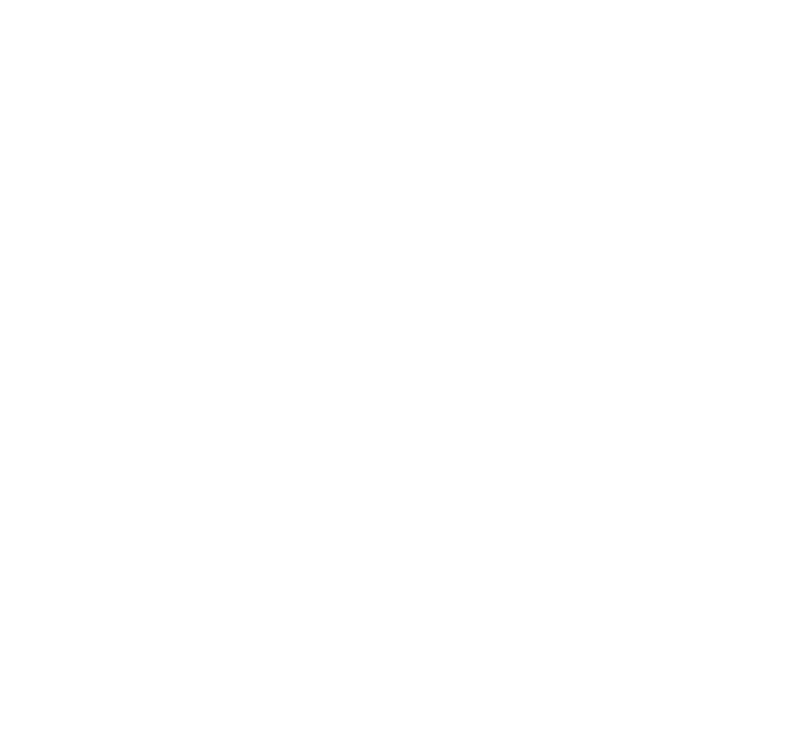 Turtle Beach